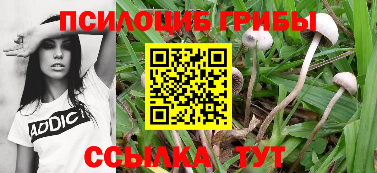 Галлюциногенные грибы MAGIC MUSHROOMS Рубцовск