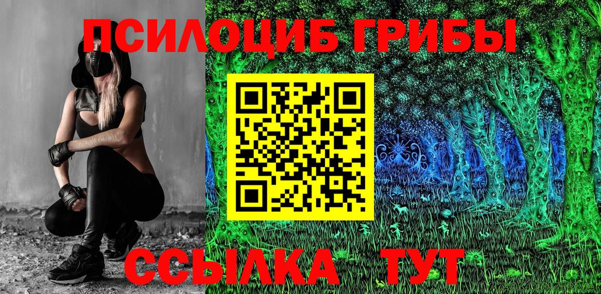 Псилоцибиновые грибы мицелий  Вход с VPN  Галлюциногенные грибы Psilocybine cubensis  цена   Рубцовск 